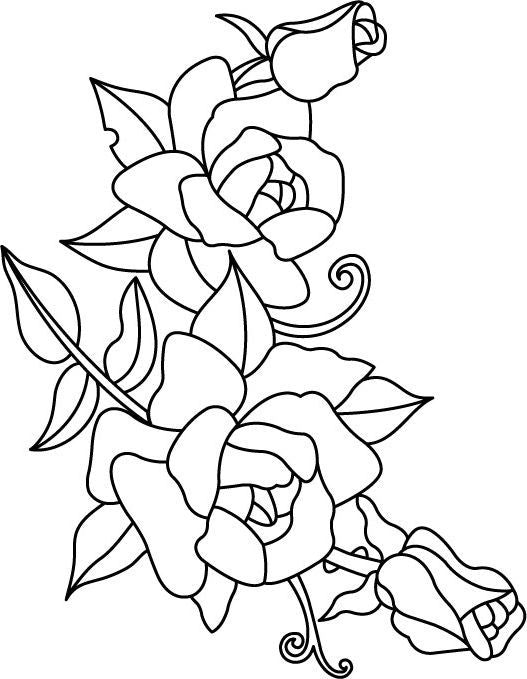 Nature Collection