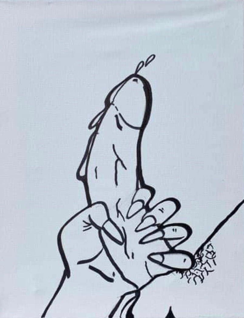 Adult Canvas Collection