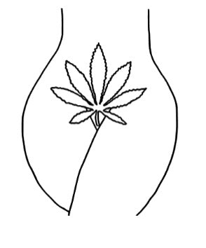 420 canvas Collection