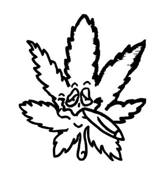420 canvas Collection