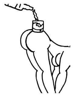 Adult Canvas Collection